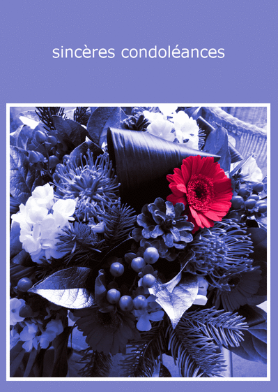 Carte condoléances, envoyer cette carte sincères 
